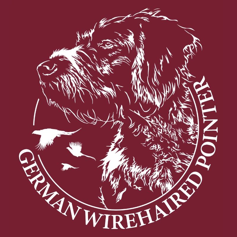 German Wirehaired Pointer Jagdhunde Wilsigns