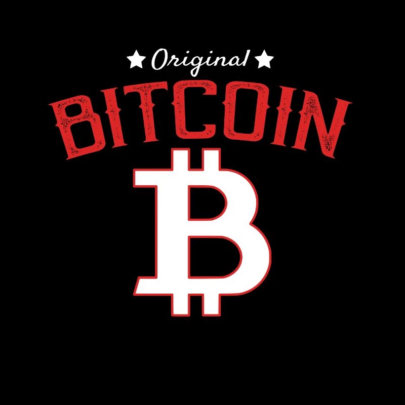 Satoshi Bitcoin Established 2008