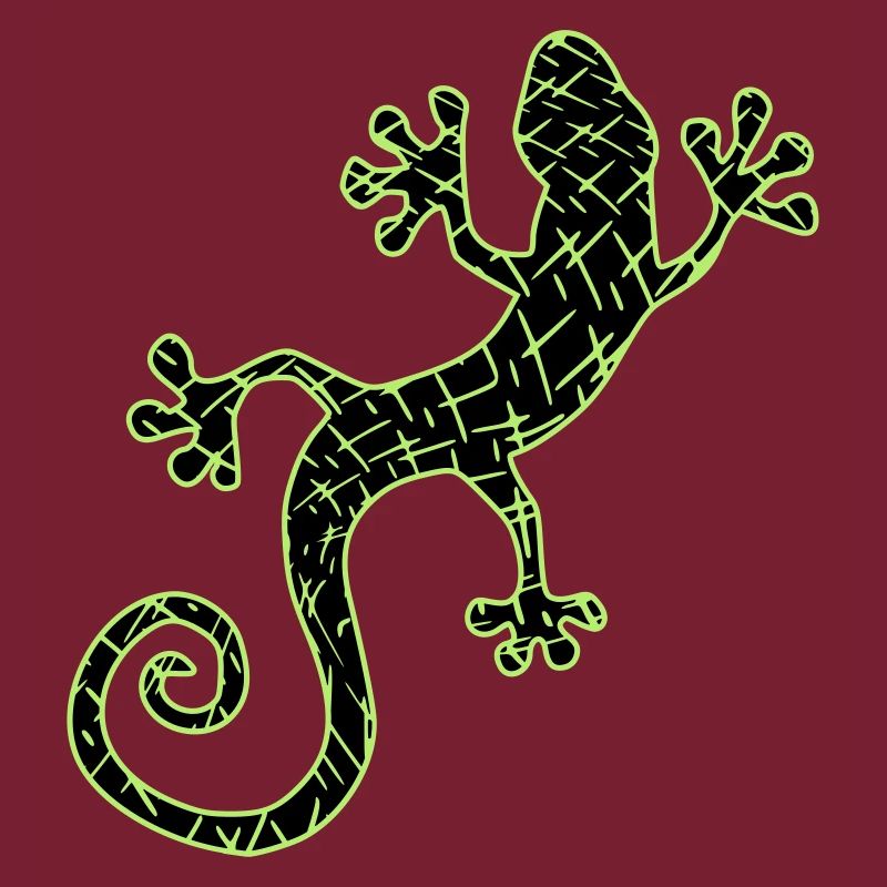 Gekko vert et noir