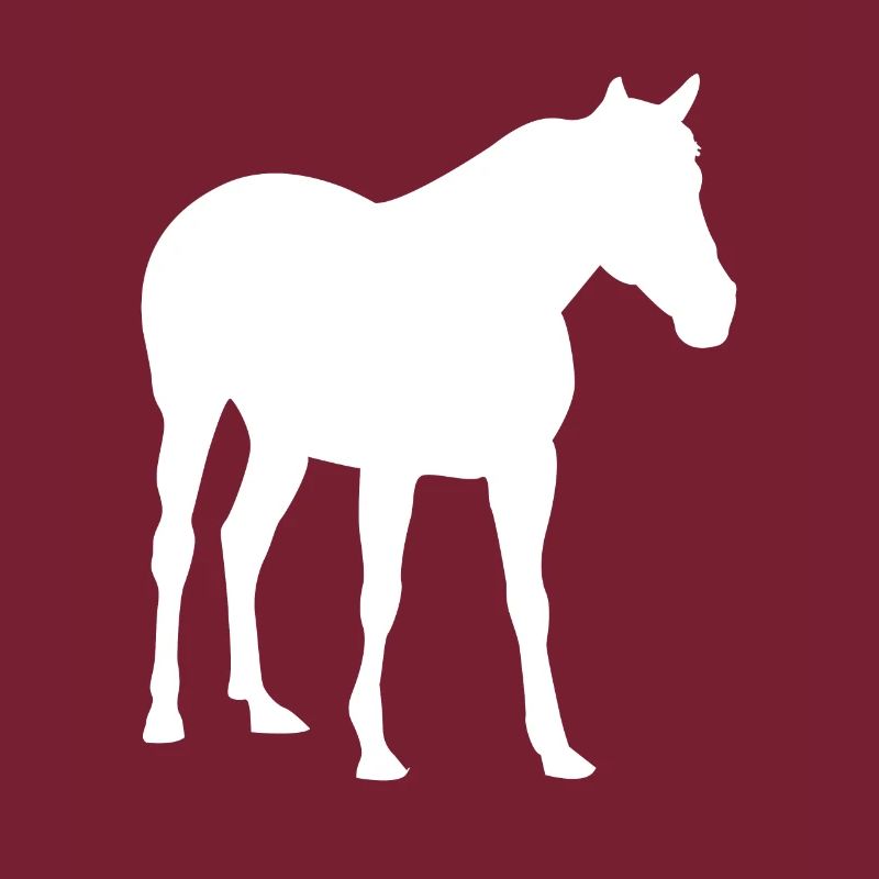 Pferd Reiten Pferde