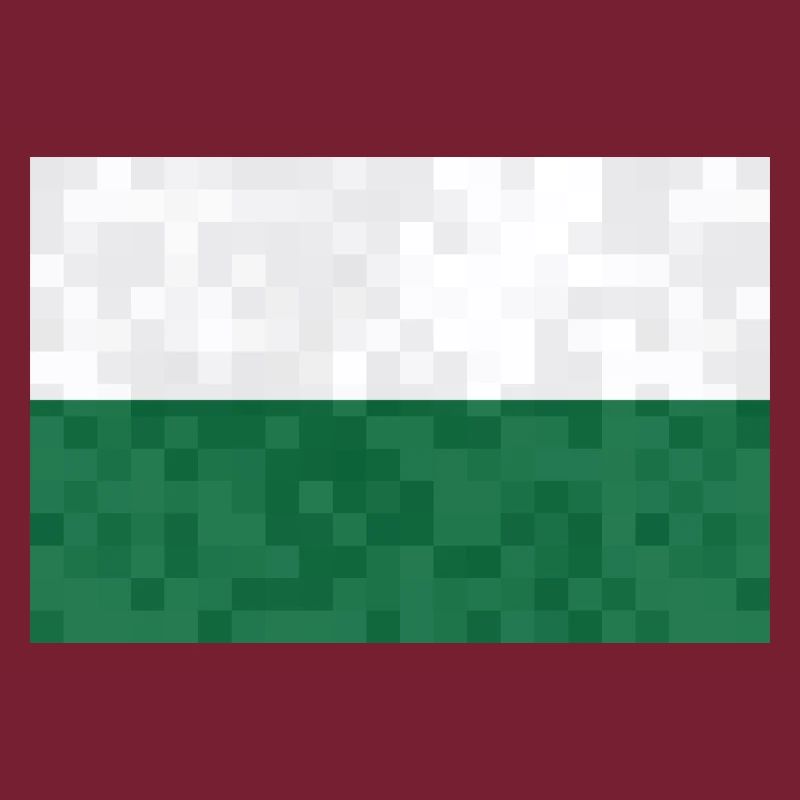 Drapeau de Saxe Drapeau saxon Ossi Holiday SN