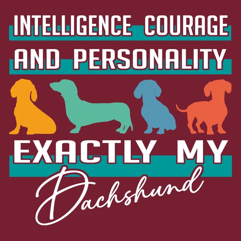Intelligence, courage, personnalité - mon teckel