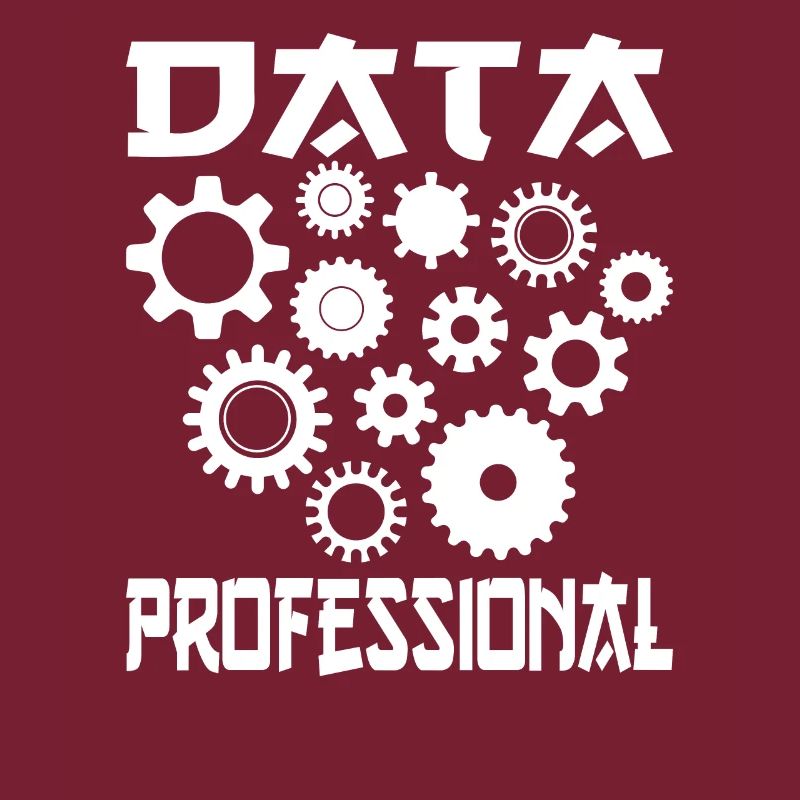 Daten Analytiker Datenschutz Beauftragter