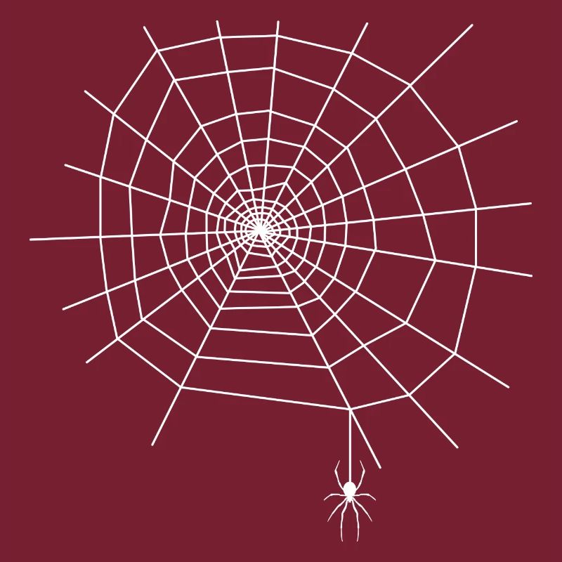 Spider Web Spider