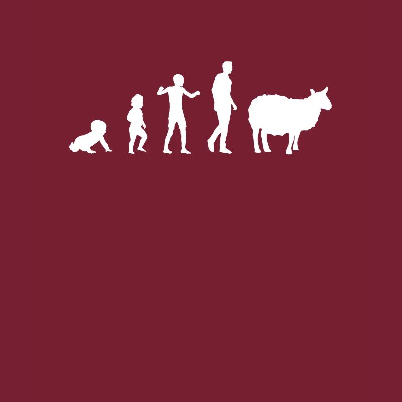 evolution bebe sheep humor sheep breeder