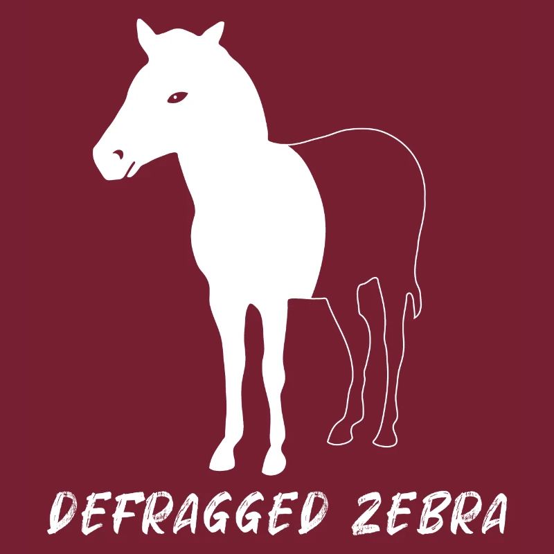 Defragged Zebra Admin Geek Programmer Gift