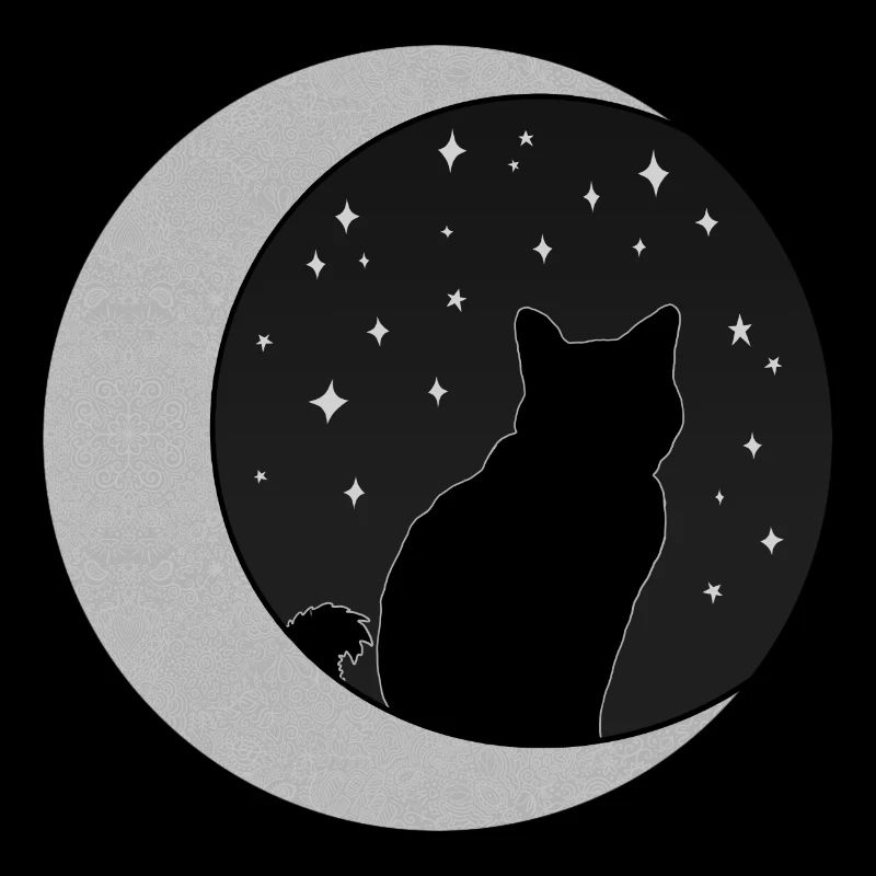Black Cat and Silver Crescent Moon