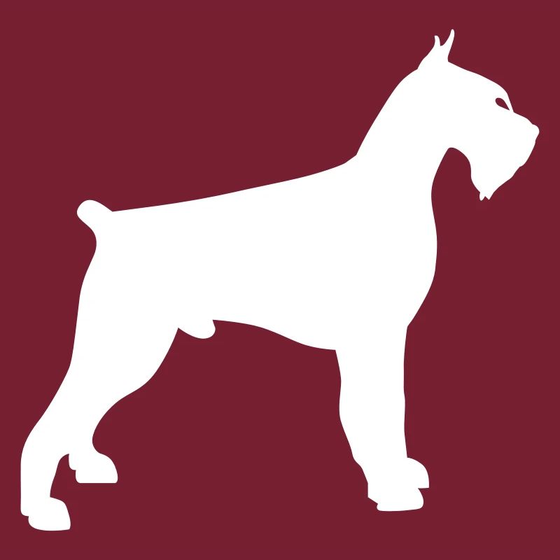 schnauzer géant