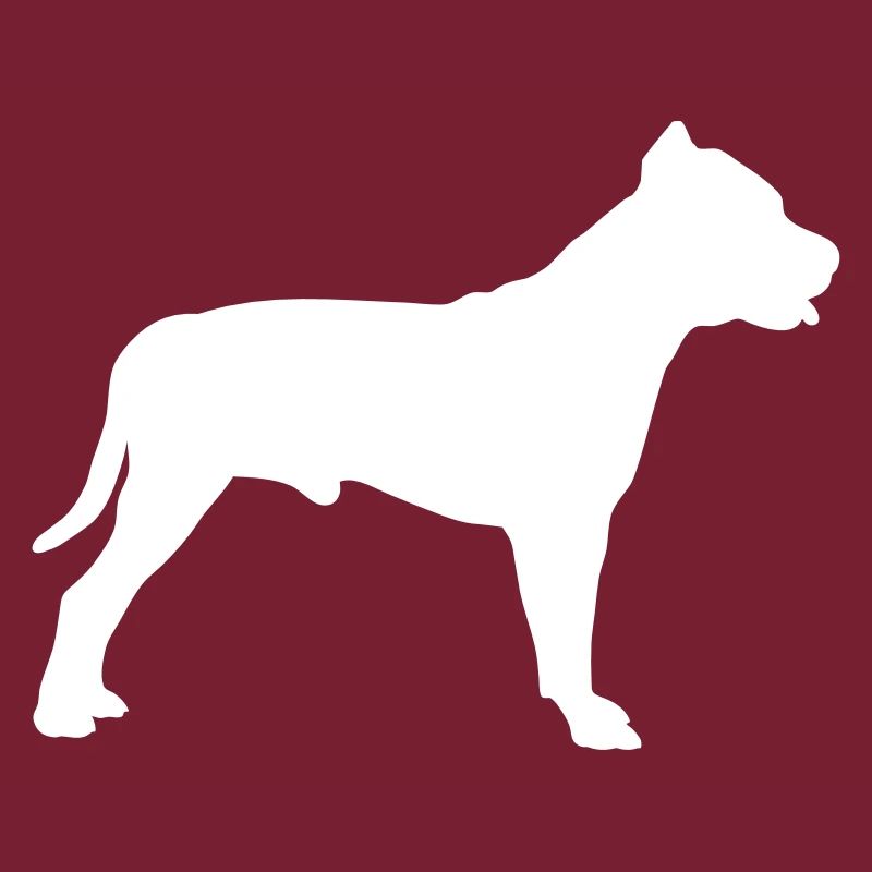 Pitbull