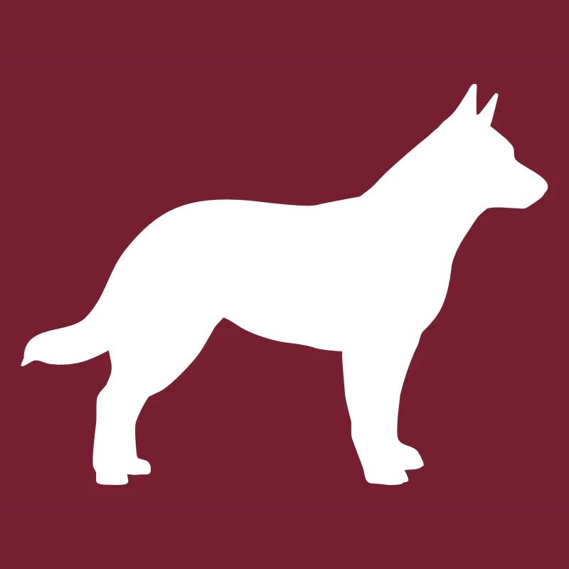 Australian cattle dog