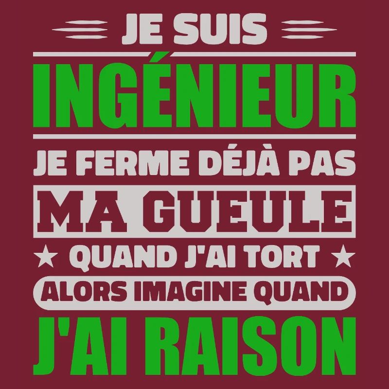 Engineer Humor Gift Student Engineer