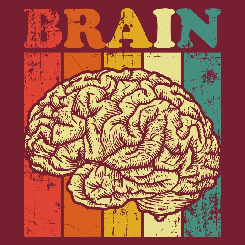 brain