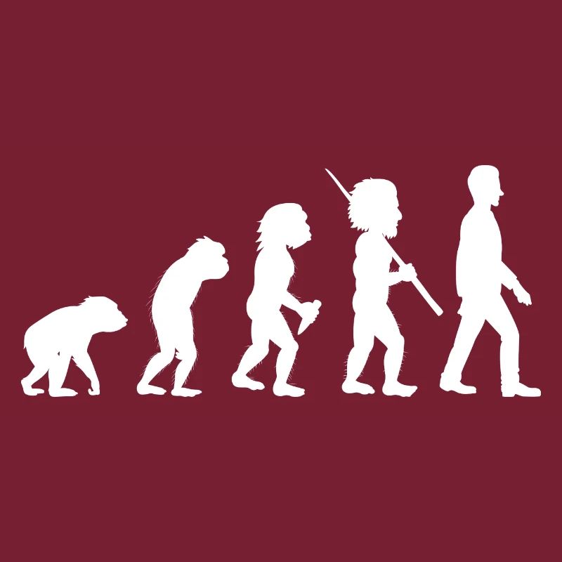Evolution, development, job, office