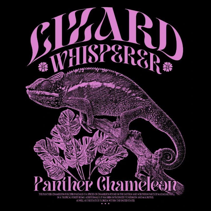 Panther Chameleon Chameleon Lizard Whisperer