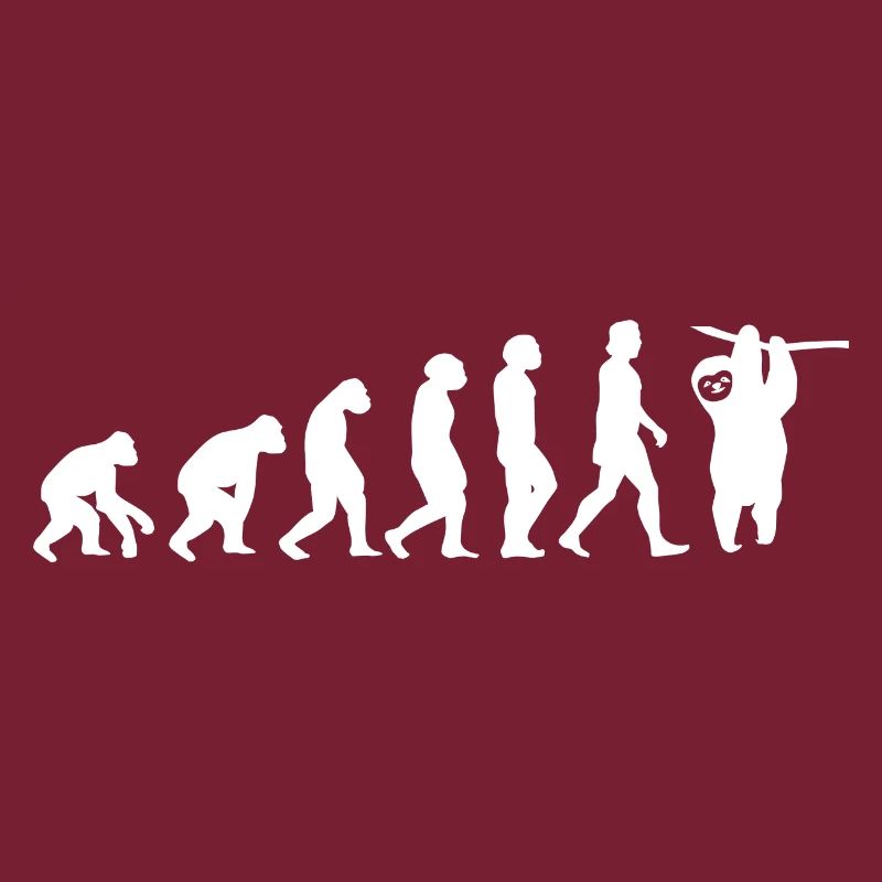 Faultier an einem Ast Evolution der Menschen Tiere