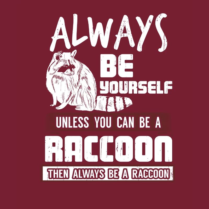 raton laveur