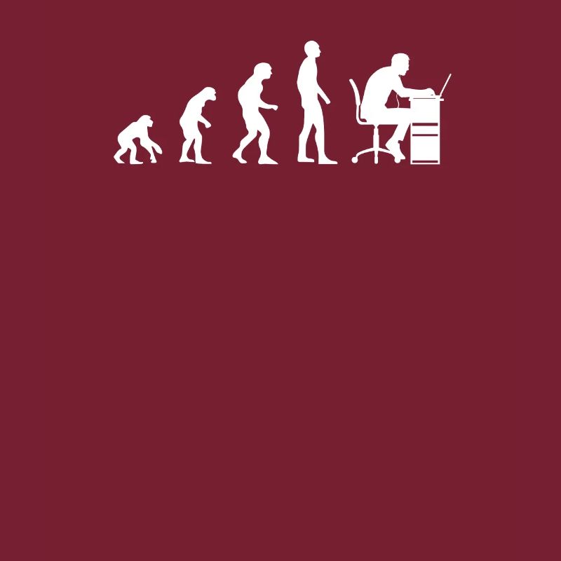 Programmer