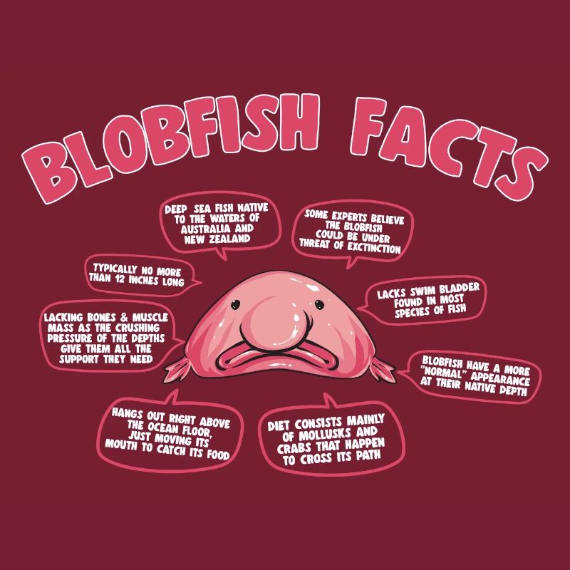Blob fish