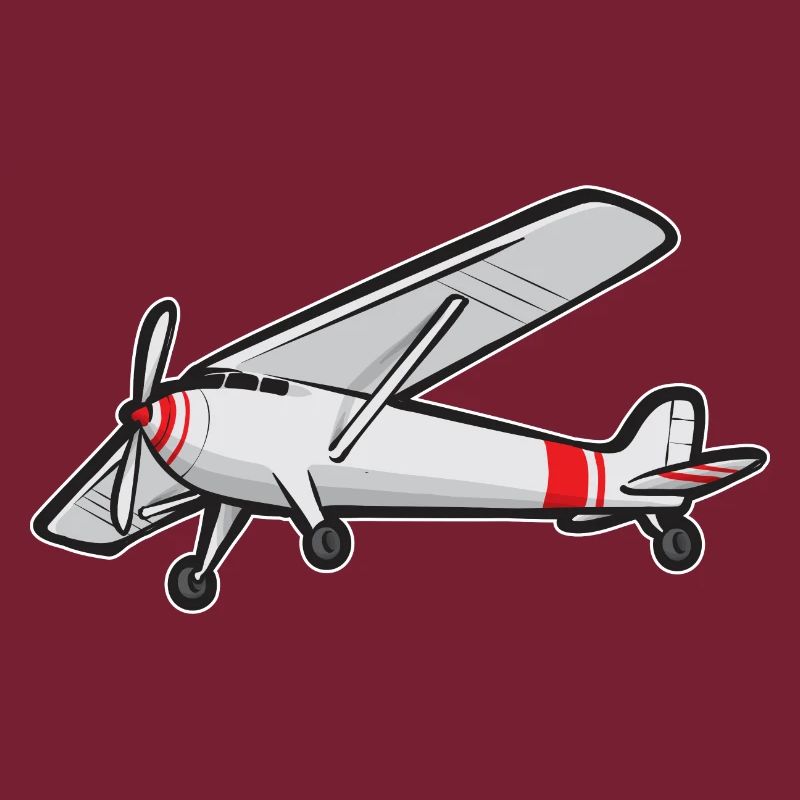 Modèle d’avion télécommandé