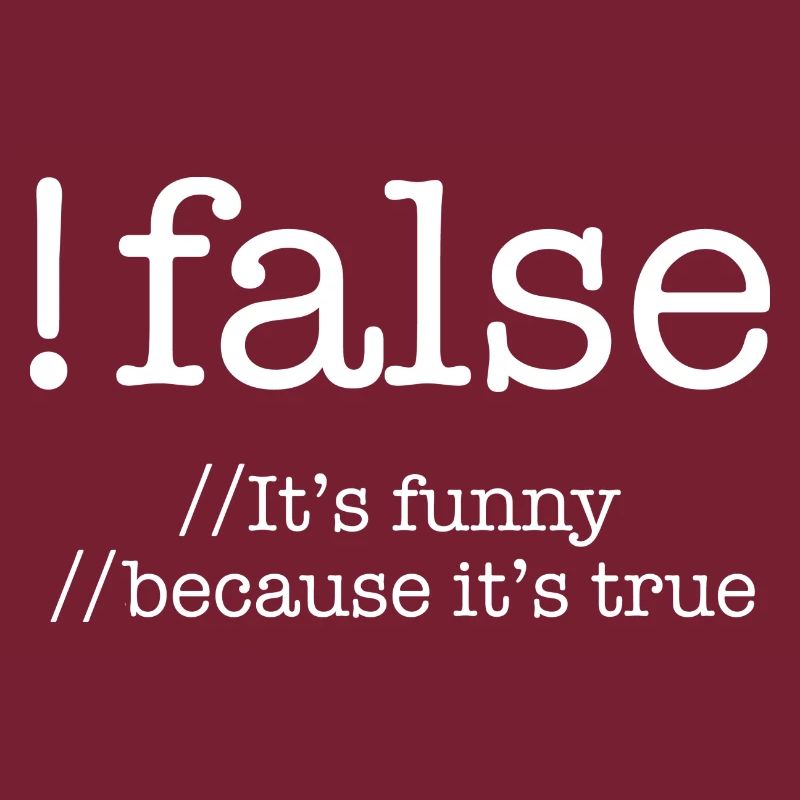 False Programming Coding Programmers Gift