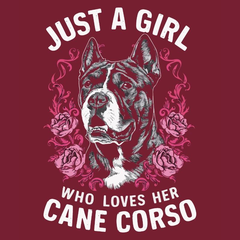 Cane Corso Hund
