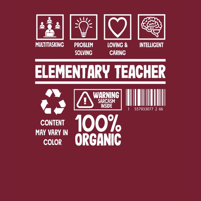 Elementary School Teacher Multitasking Problem Solving