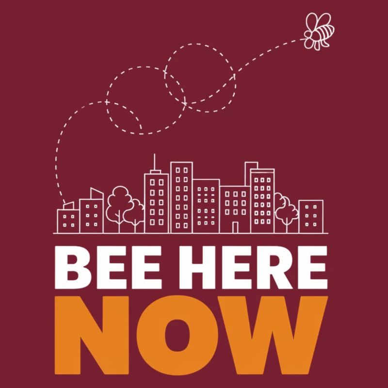 Bee Here Now Conception de paysage urbain