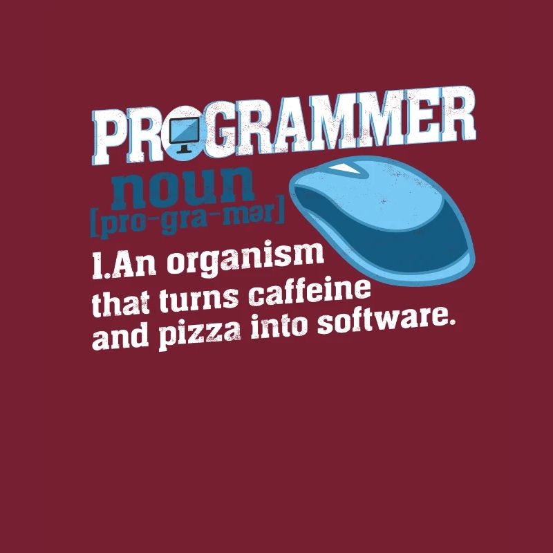 Programmer definition geek computer