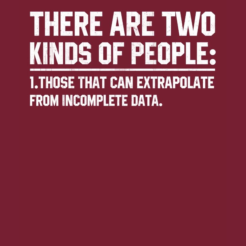 Software developer programmer