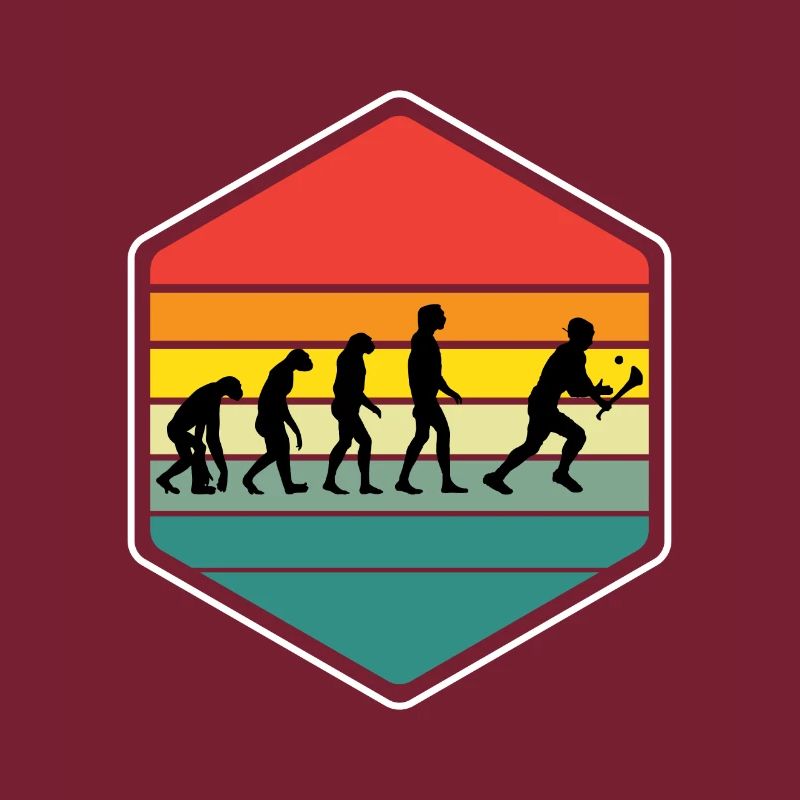 Die Evolution von Hurling