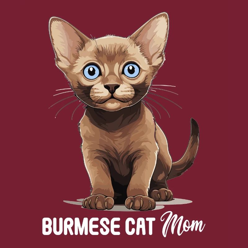 Chat birman Birmanie Katze