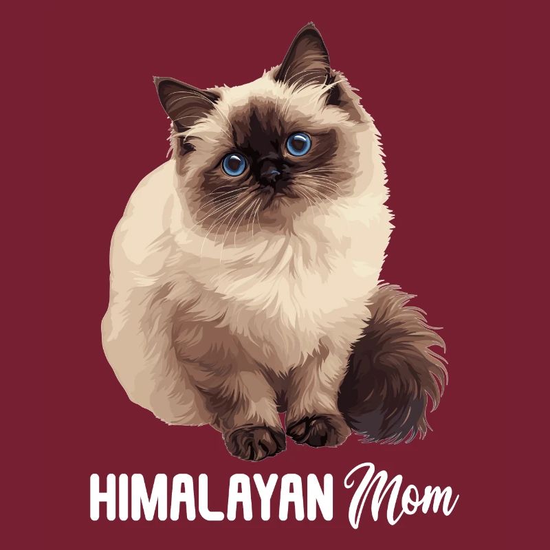 Chat de l’Himalaya Colourpoint Katze
