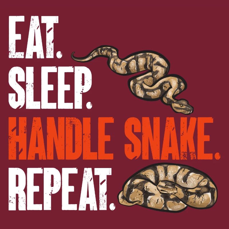 Ball Python Snake King Python