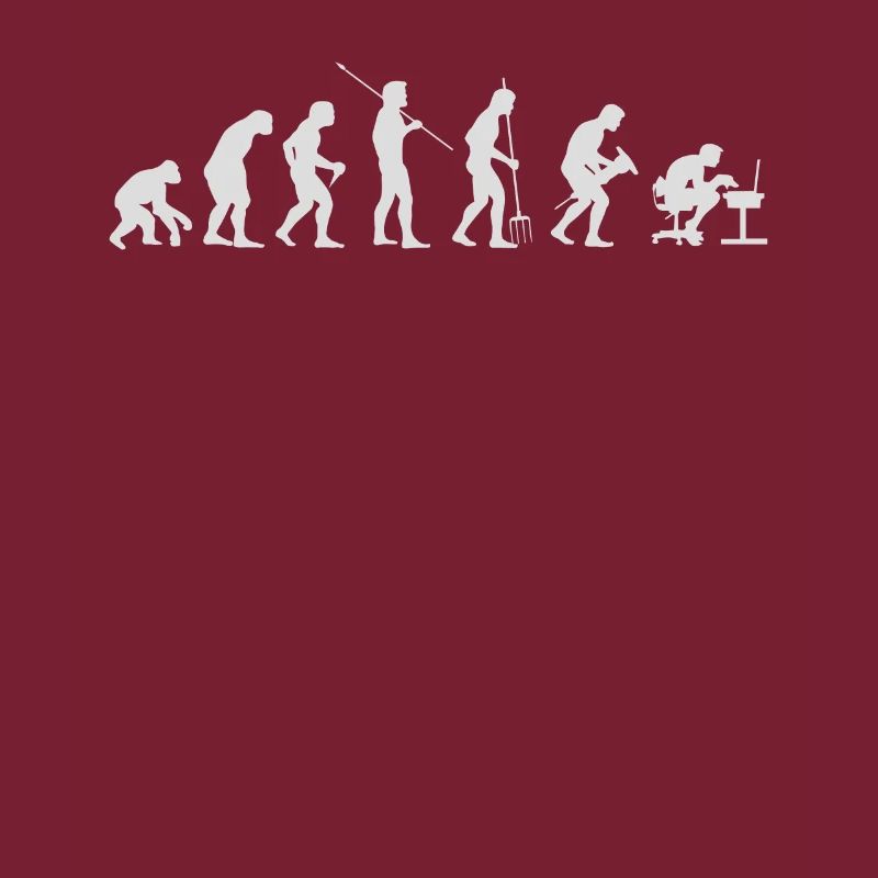 Informaticien Evolution