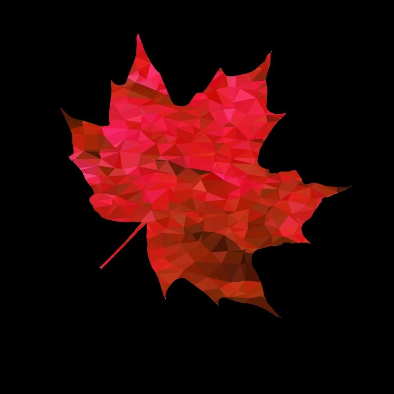 Érable Rouge Polygone