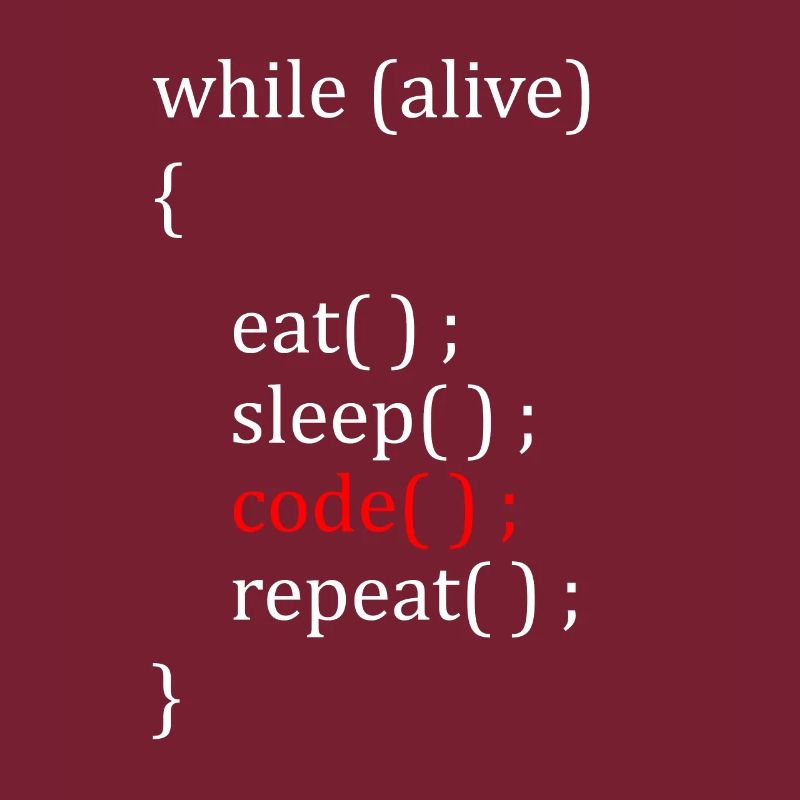 Informatiker Hobby