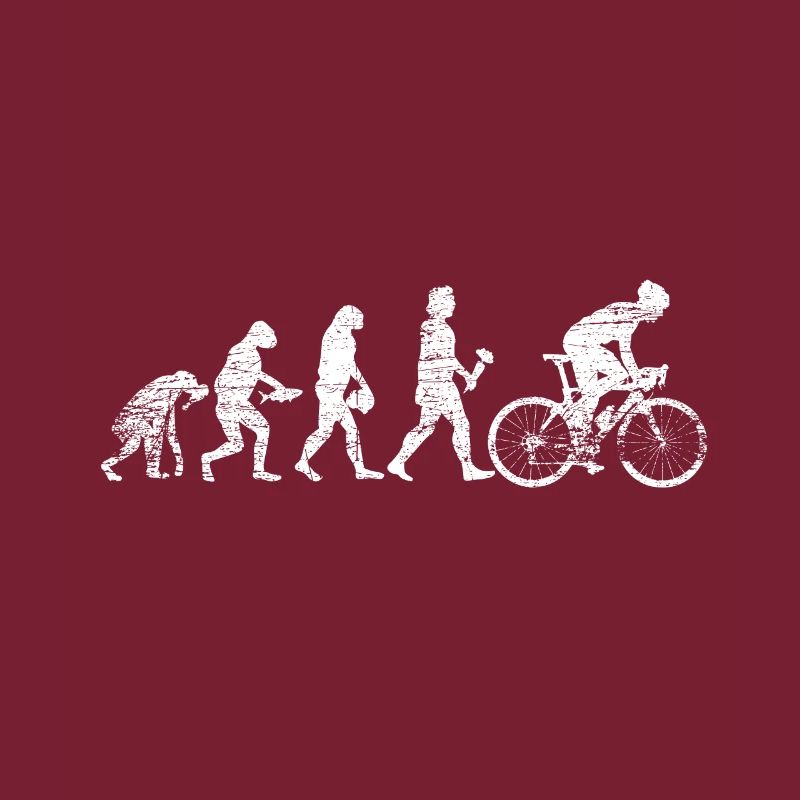 Vélo Evolution