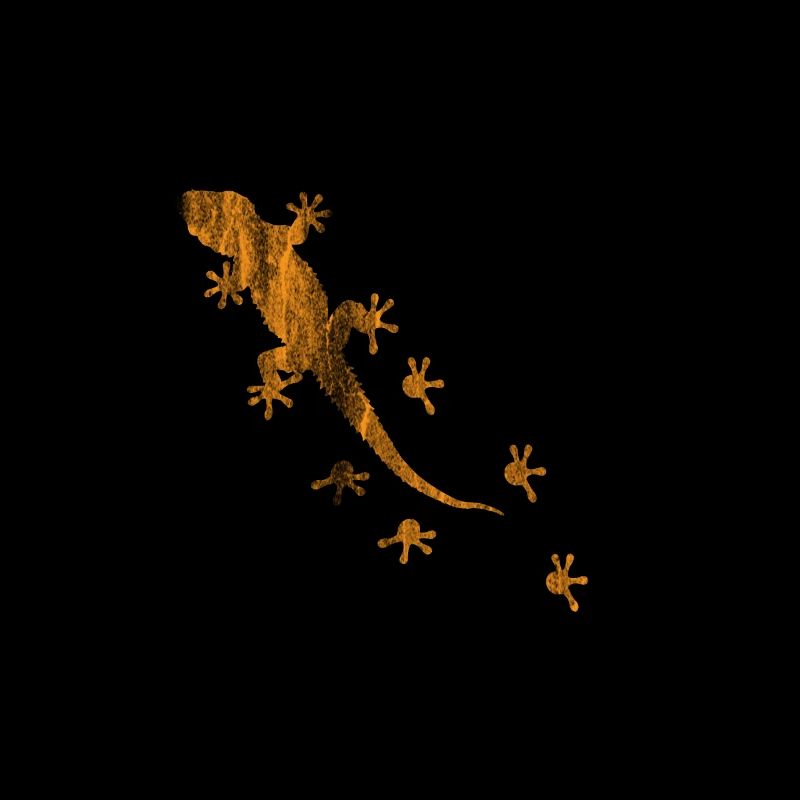Gecko reptile