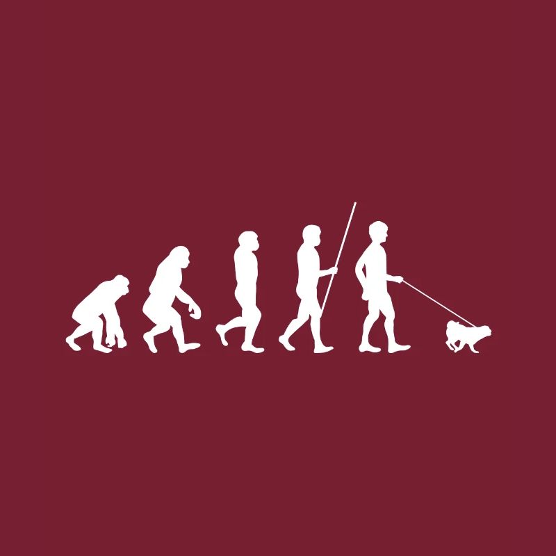 Evolution Pug