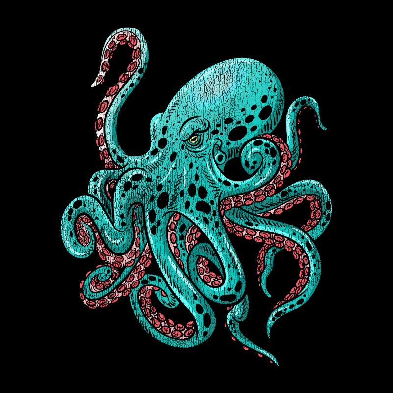 Octopus octopus