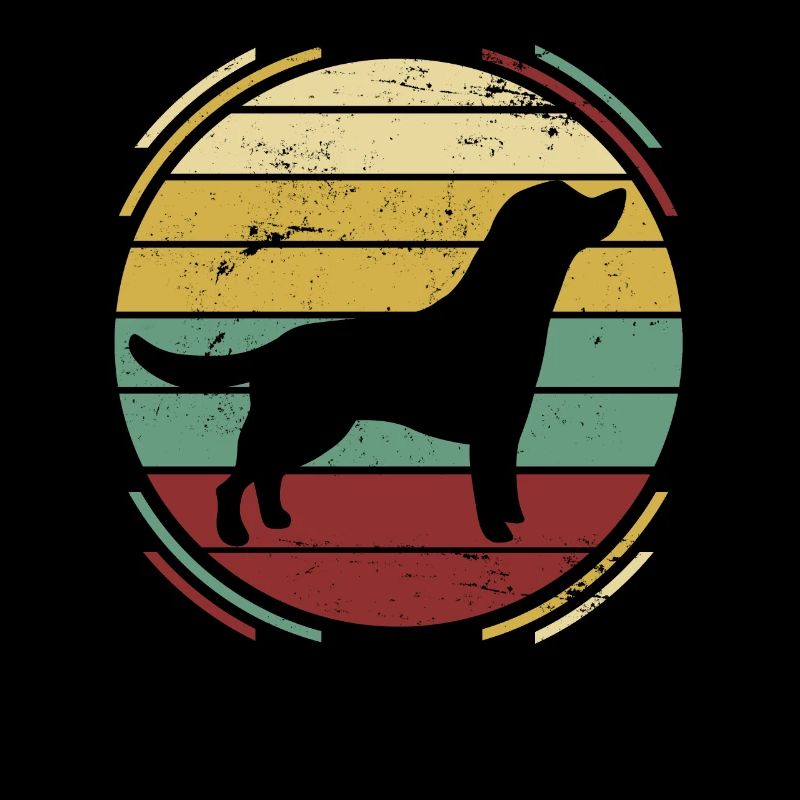 Labrador Hund