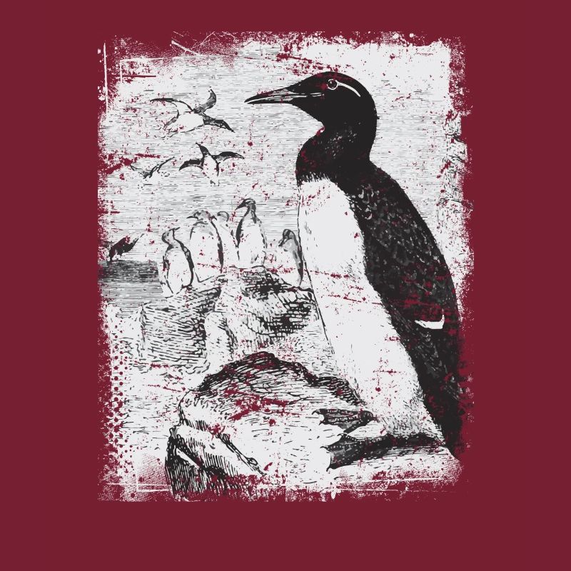 Pinguin Antarktis
