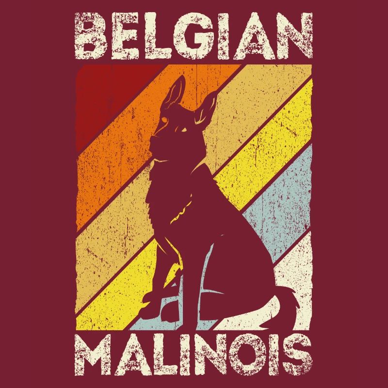 Belgian Malinois Hunde