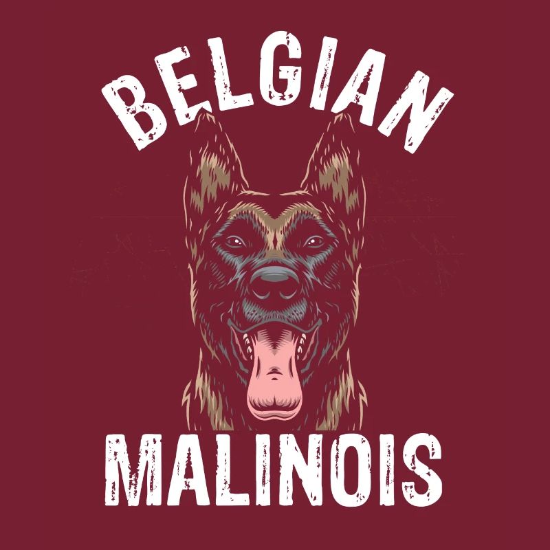 Belgian Malinois Hunde