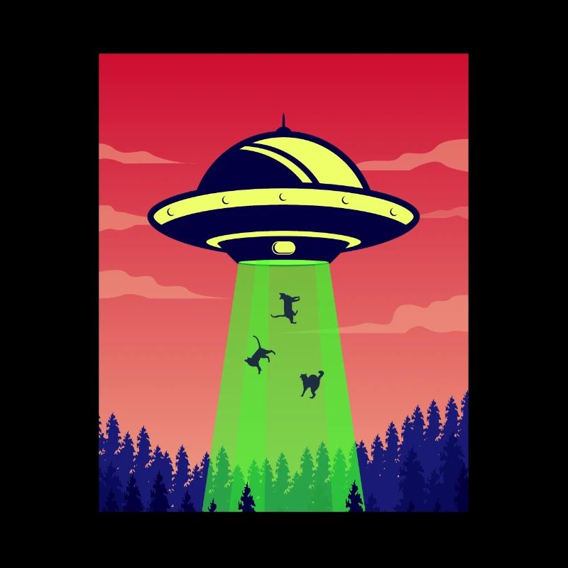 Chats enlevés par un vaisseau spatial extraterrestre -