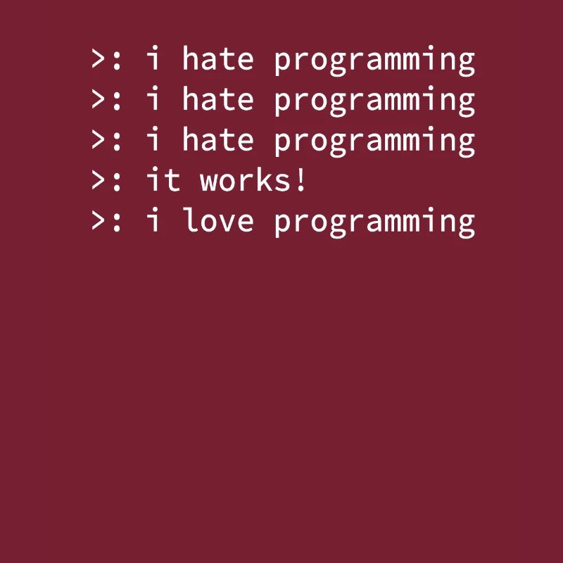 Programmer coden hate nerd geek funny gift