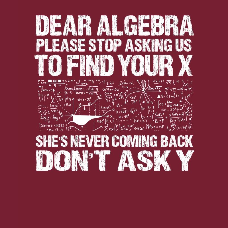 Math Algebra Sarcasm Single Ex Reckon Gift