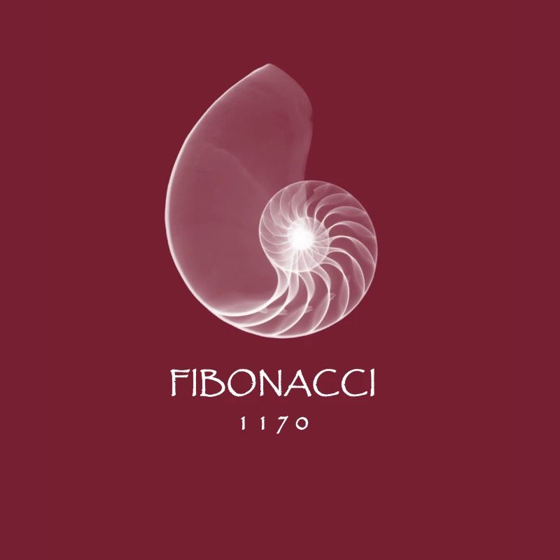 Fibonacci, b. 1170 - Coquille de Nautilus Spirale Rön