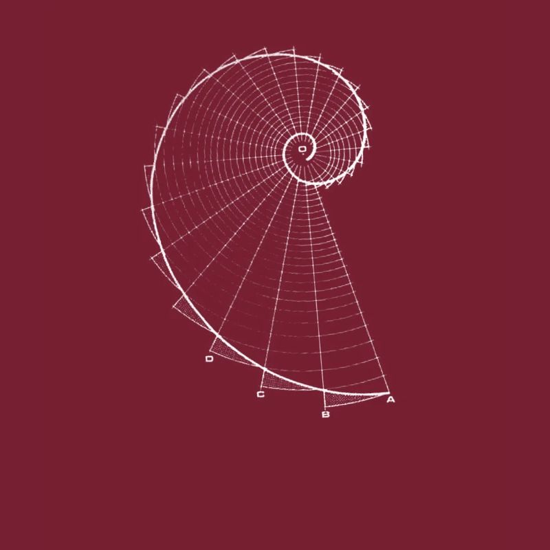 Fibonacci (chalk optics)