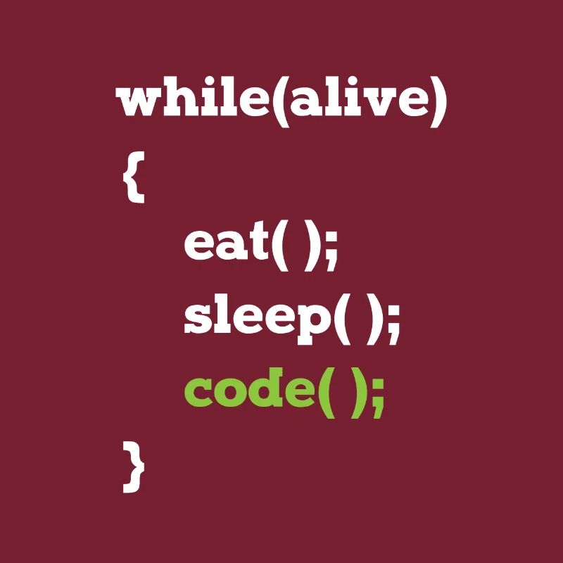 Java Programmierer Informatiker Schleife